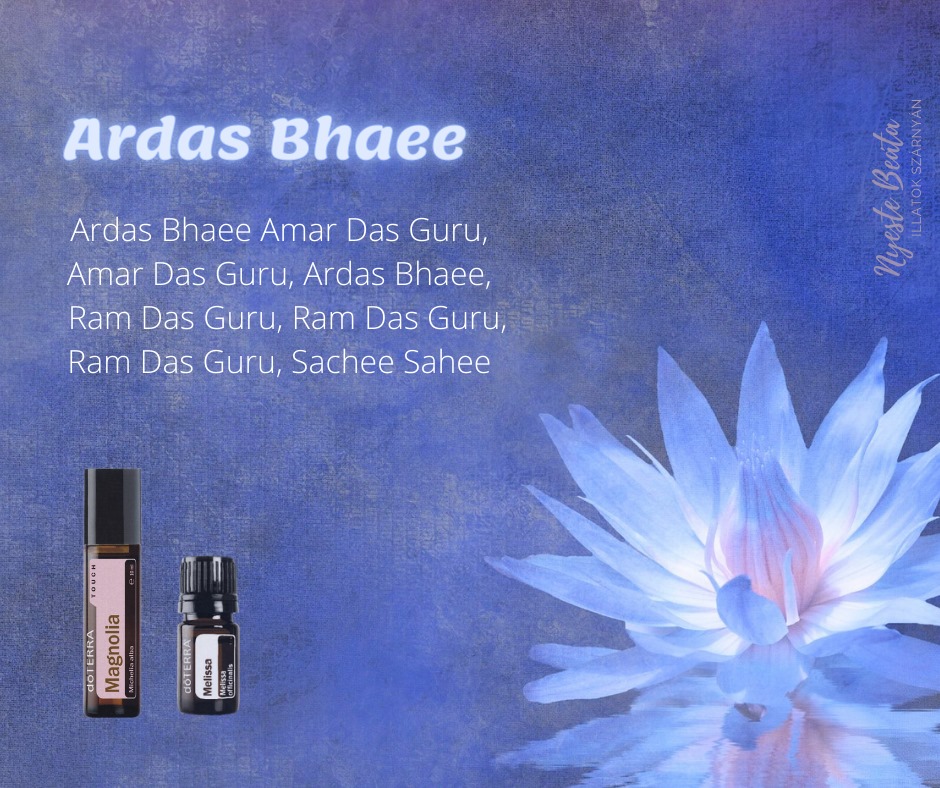 Ardhas Bhaee