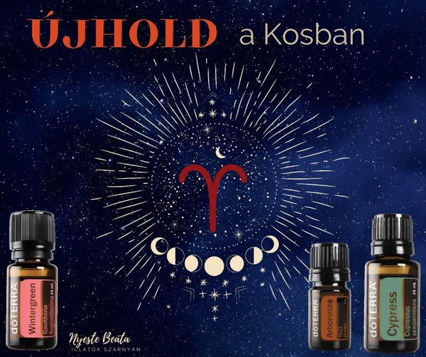 Read more about the article Újhold a Kosban